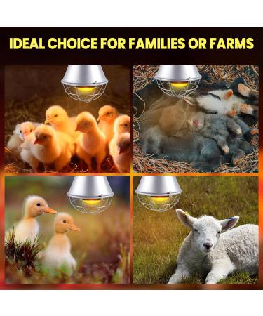 BrightArk 250W Poultry Heat Lamp with 2.5M Wire and 2M Hanging Chain - Energy Saving Switch, Livestock Breeding Brooder Lamp for Puppies, Chicks, Piglets, Reptiles (No Bulb) - Buy Online on SooperMarket.com