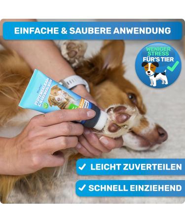 Buy Bluepet Pfotenbalsam Dog Stick Ultimate Care for Stressed Paws & Noses | Relieves Protects & Maintains Year-Round - Buy Online on SooperMarket.com