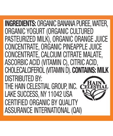 Earth's Best Organic Sesame Street Toddler Fruit Yogurt Smoothie - Pineapple, Orange, and Banana - 4.2 oz. Pouch (Pack of 12) - Buy Online on SooperMarket.com