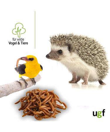 UGF Juicy Preserved Mealworms 140g - Premium Bird Food Hedgehog & Squirrel Treats Year-Round Nutrition - Buy Online on SooperMarket.com