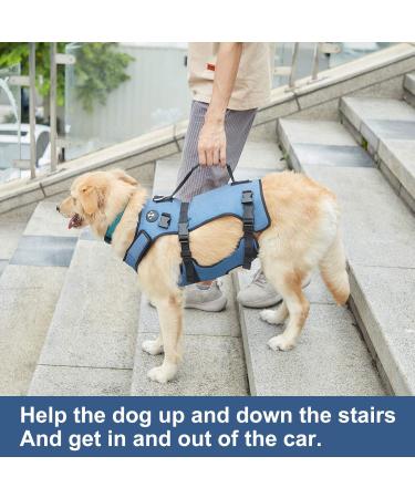COODEO Adjustable Dog Lifting Harness - Breathable Support & Recreation Loops for XXL Pets - Ideal for Rehabilitation & Disabled Dogs - Buy Online on SooperMarket.com