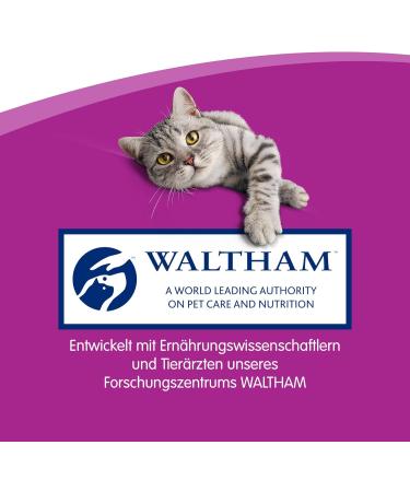 Buy Whiskas Sticks Cat Snacks - Chicken Flavor 84 Sticks | Rich in Vitamins & Minerals - Irresistible Taste for Your Cat - Buy Online on SooperMarket.com