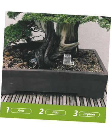 VILLFUL Pet Water Feeder Ants Drinking Tool Ants Water Feeding Bowl Small Ants Feeder Insect Feeder Plastic - Buy Online on SooperMarket.com