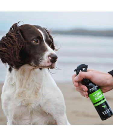 Animology Stink Bomb Deodorising Dog Spray Twin Pack 250ml - Buy Online on SooperMarket.com