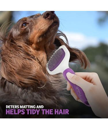 Poodle Pet Slicker Brush for Small and Large Dogs | Effective Hair Remover for Tangles, Mats, and Loose Hair | Suitable for Short or Long Hair - Grooming Brush - Buy Online on SooperMarket.com