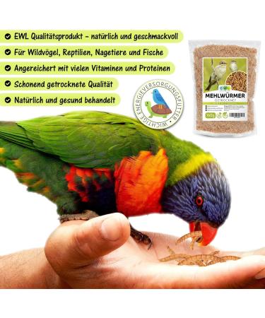 Dried Mealworms 1 Ltr (160g) - Premium Insect Snack for Birds Fish Turtles & Reptiles | Year-Round Bird & Hedgehog Feed - 1 Pack - Buy Online on SooperMarket.com
