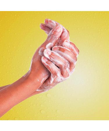 Suave Invigorating Liquid Hand Soap - Sunshine & Lemons 13.5 oz | Gentle Wash for Dirt & Germs Moisturizing Formula - Buy Online on SooperMarket.com