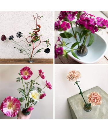 JUSTDOLIFE Stainless Floral Frog Vase - Round Metal Flower Arranger Pin Holder | 3 Pack Silver Flower Frogs for DIY Flower Craft - Buy Online on SooperMarket.com