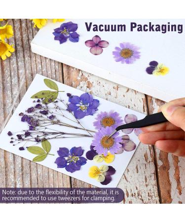 EBOOT 72 Pieces Real Dried Pressed Flowers Set for DIY Crafts & Floral Decor - Mixed Dry Flowers for Candle, Resin, Jewelry & Nail Art - Buy Online on SooperMarket.com