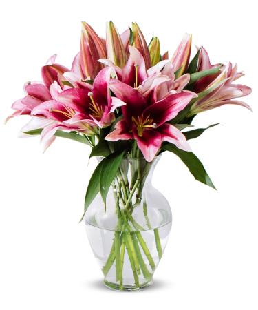 Benchmark Bouquets 8 Stem Stargazer Lily Bunch, With Vase (Fresh Cut Flowers)