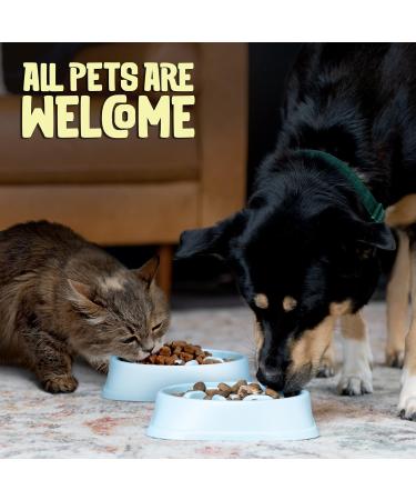 Purrfects Slow Feeder Dog Bowl (Sky Blue) - Anti Choke and Bloat - Dog Slow Feeder for Slower Feeding - Buy Online on SooperMarket.com