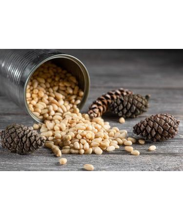 Premium Siberian Raw Pine Nuts GMO Free (700gr) - Buy Online on SooperMarket.com