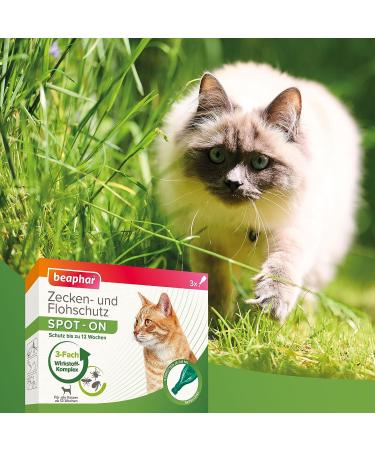 Beaphar Tick & Flea Protection Spot-On for Cats | Effective Flea Tick & Mosquito Repellent | 3 Pipets (0.8 ml each) - 12 Weeks Protection - Buy Online on SooperMarket.com