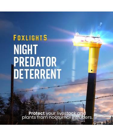 FOXLIGHTS Solar Night Predator Deterrent - LED Predator Control Light for Farms & Ranches - Protect Flocks & Crops! 360 Degree Flashing, Alarms Wildlife - Trusted by Professional Farmers - Buy Online on SooperMarket.com