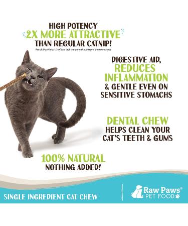 Raw Paws Silvervine Catnip Sticks 30-ct - Natural Matatabi Chew Toys for Indoor Cats - Silver Vine Kicker Toy - 30-pack - Buy Online on SooperMarket.com