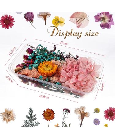 Pressed Dried Flowers Kit with Tweezers - Colorful Real Dried Flowers for Resin Jewelry DIY - Buy Online on SooperMarket.com