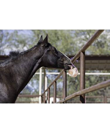 Himalayan Salt Block on Rope for Horses - 2.2 lbs | Natural Mineral Supplement - Buy Online on SooperMarket.com