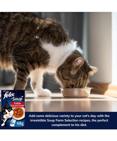 Felix Soup Cat Food Bundle Containing Farm and Fish Selection 48g x24 | Cat Treats 60g x2 | Silvervine Sticks - Buy Online on SooperMarket.com