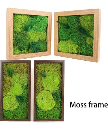 Preserved Moss Pole - 1.5 sq. Ft Decorative Moss for DIY Crafts and Wall Decor (Yellow Green) - Buy Online on SooperMarket.com
