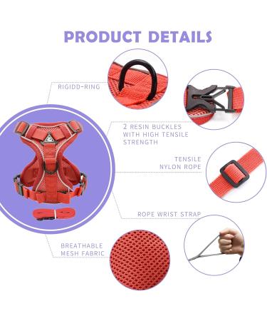 Buy Tikxlafe Adjustable Cat Dishes with Leash - 150 cm Polyester Cat Line Set for Kittens (Red Size S) - International Shipping Available - Buy Online on SooperMarket.com