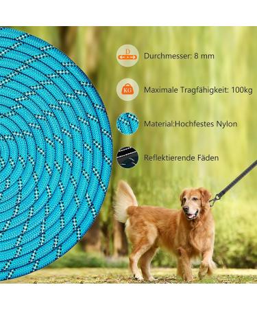 Shop Aystkniet Bungee Tow Leash for Dogs - 30m Shock-Absorbing Dog Leash with Padded Handle & Lockable Hook - Perfect for Medium & Large Dogs - Blue - Buy Online on SooperMarket.com