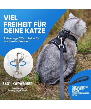 Blue Pawz Cat Dishes with 170cm Leash | Premium Quality Cat Bowls | Perfect for Unforgettable Moments | International Shipping Available - Buy Online on SooperMarket.com
