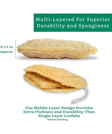 4 Pack 100% Natural Loofah Exfoliating Sponges - Organic Bath Scrubber Set - Buy Online on SooperMarket.com