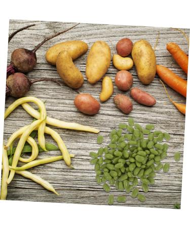 HOMSFOU 2 Packs Simulated Green Beans Artificial Vegetables Props Faux Soybean Simulated Bean Model Dollhouse Food Miniature Gourmet Nuts Photo Props Food Play Pvc Accessories Greenx2pcs 1.6X1CMx2pcs - Buy Online on SooperMarket.com