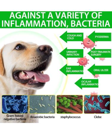 Dog Health Supplement Drops for Allergy Relief, Skin Itch, Kennel Cough, UTI & Ear Infection - Multivitamin Bacon Flavor - 2 Fl Oz - Buy Online on SooperMarket.com