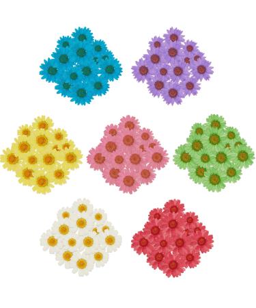 84 Pieces Real Dried Pressed Flowers 7 Colors Natural Daisy Flowers for DIY Crafts Resin Casting Jewelry Candle Soap Decorations Making Supplies  7 Bags