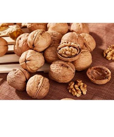 Buy 100% Natural Walnuts 5kg - Chile 34-36mm | Vegan Gluten-Free No Additives | New Harvest 2022 - Buy Online on SooperMarket.com