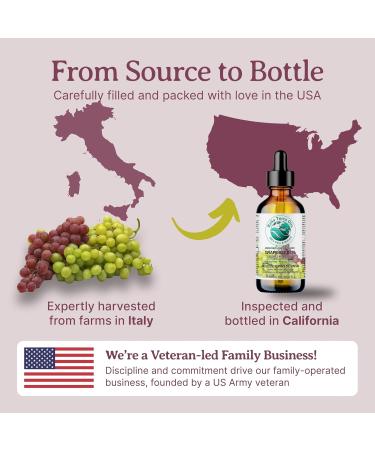 Pure Grape Seed Oil 236 ml Antioxidant-Rich Lightweight Radiant Skin Frizz-Free Hair Silky Touch Bella Terra Oils 236 ml (Pack of 1) - Buy Online on SooperMarket.com