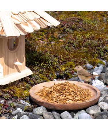 Lyra PET 10L Dried Mealworms | High-Protein Natural Food for Birds Rodents Fish & Reptiles | Year-Round Wild Bird Food - Buy Online on SooperMarket.com