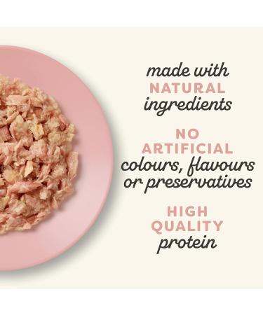 Applaws Natural Wet Adult Cat Food - Tuna Fillet & Salmon in Jelly 70g Can (Pack of 24) | Premium Cat Nutrition - Buy Online on SooperMarket.com