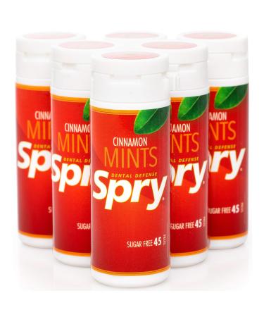 Xlear Spry Cinnamon Mints 45 Count 25 g