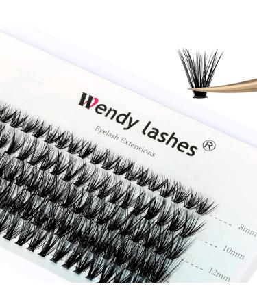 Individual Cluster Lashes C Curl 0.07mm Mixed 8-16mm 40 Root Cluster Eyelash Extensions Grafting Individual Cluster Eyelashes 40D DIY Lashes Clusters Lash Extensions(Clusters-40D-0.07-C-816) RR-8-16mm Clusters-40D-0.07-C