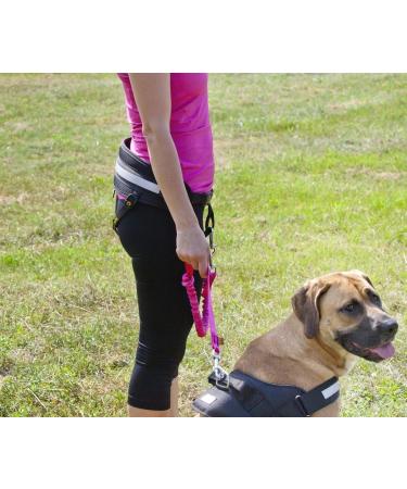 DINGO Canicross Belt 4-in-1 | Universal Adjustable Hands-Free Dog Walking Belt | Reflective Multifunctional | Running Sports Jogging Training | Black Waist Belt (12780-2) - Buy Online on SooperMarket.com