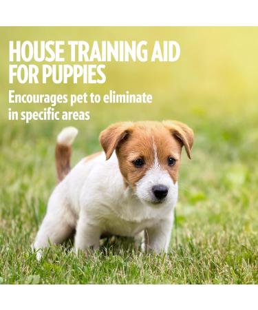 OUT! Indoor and Outdoor Dog and Puppy Training Spray | House-Training Aid| 500ml 500 ml (Pack of 1) - Buy Online on SooperMarket.com