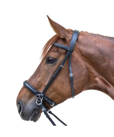 WALDHAUSEN Star Bridle Bitless Black Thoroughbred