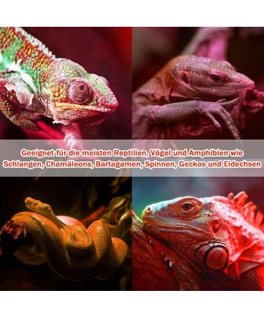 Neptonion 100W Infrared Heat Lamp for Reptiles | UVA Basking Spot Lamp for Snakes Chameleons Geckos & More - Buy Online on SooperMarket.com
