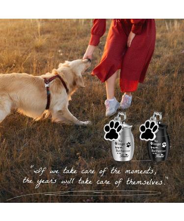 KALIONE 2 Pcs Pet Urns Keychain Dog Urns for Ashes Dogs Ashes Keepsake Stainless Steel Small Pet Urns for Dogs Cat Ashes Urns with Storage Bags Pet Cremation Jewelry Pend Paw Print Urn - Buy Online on SooperMarket.com