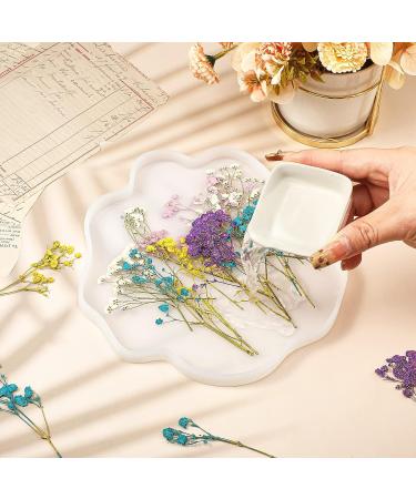 Dried Babys Breath Flowers - 100 Pcs Natural Gypsophila Branches for DIY Crafts and Gifts - Mixed Color Pressed Baby's Breath Flowers - Buy Online on SooperMarket.com