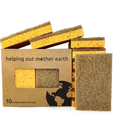Natural Sponge 10 Pack - Eco Friendly Kitchen Sponge for Sustainable Living | Biodegradable Plant Based Cleaning Dish Sponge