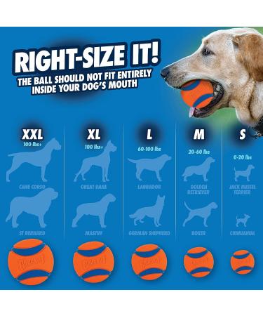 ChuckIt! Canine Hardware Medium Ultra Balls Classic 4-Pack Orange 4 Pack - Buy Online on SooperMarket.com
