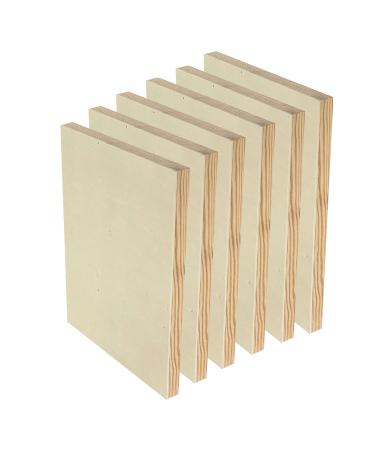 9x12 Wood Canvas for Crafts 6-Pack Framed Wooden Panel Boards for Painting Pouring Crafts 9X12X0.86 in