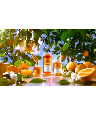Balqees Raw Honey Orange Grove Fusion (400g) 400 g (Pack of 1) - Buy Online on SooperMarket.com