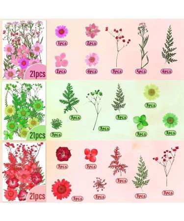 223 Pieces Real Dried Flowers, Leaves & Butterfly Stickers Set - Colorful Natural Daisies & Adhesive Decals for DIY Resin Jewelry & Nail Crafts - Buy Online on SooperMarket.com