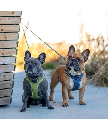DOG Copenhagen Comfort Walk Go Dog Harness - Hunting Green XS | Best International Shipping Available - Buy Online on SooperMarket.com