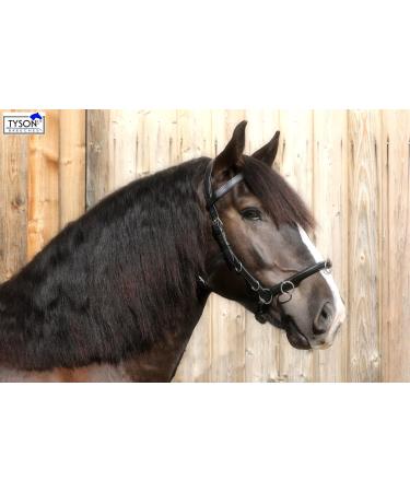 Buy Tysons Breeches Cavesson Leather - Extra Large Coldblood X-Full XX Full with Bit Attachment | Premium Quality Horse Tack - Buy Online on SooperMarket.com