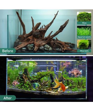 Natural Driftwood Aquarium Decor - Assorted Branches for Reptile/Fish Tank (2 Pack, 9-14 inch) - Buy Online on SooperMarket.com